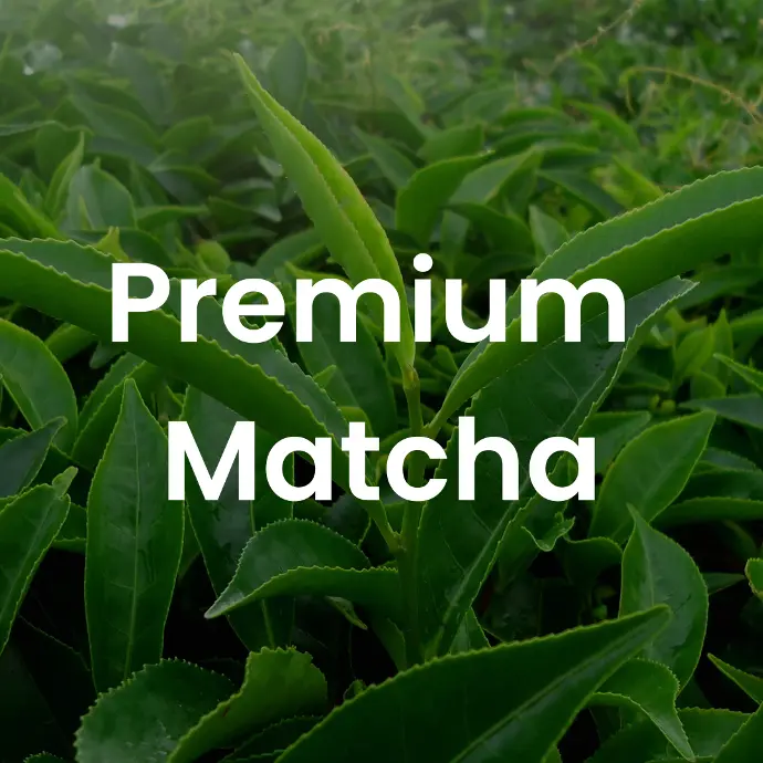 Premium Matcha