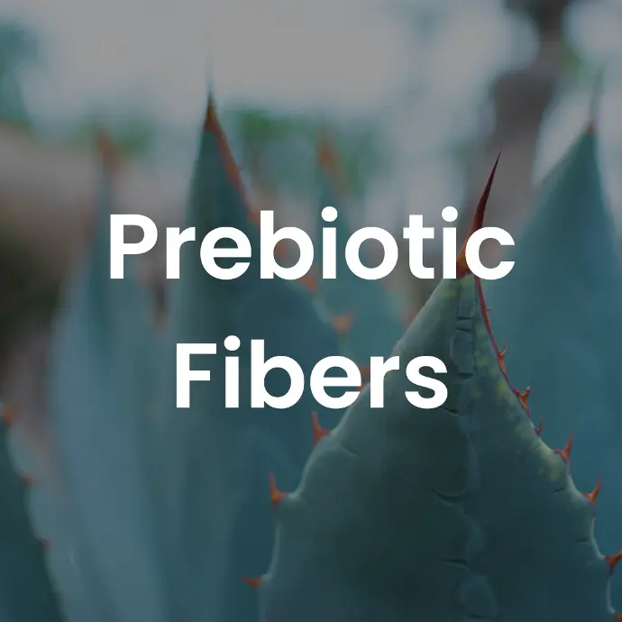 Prebiotic Fibers